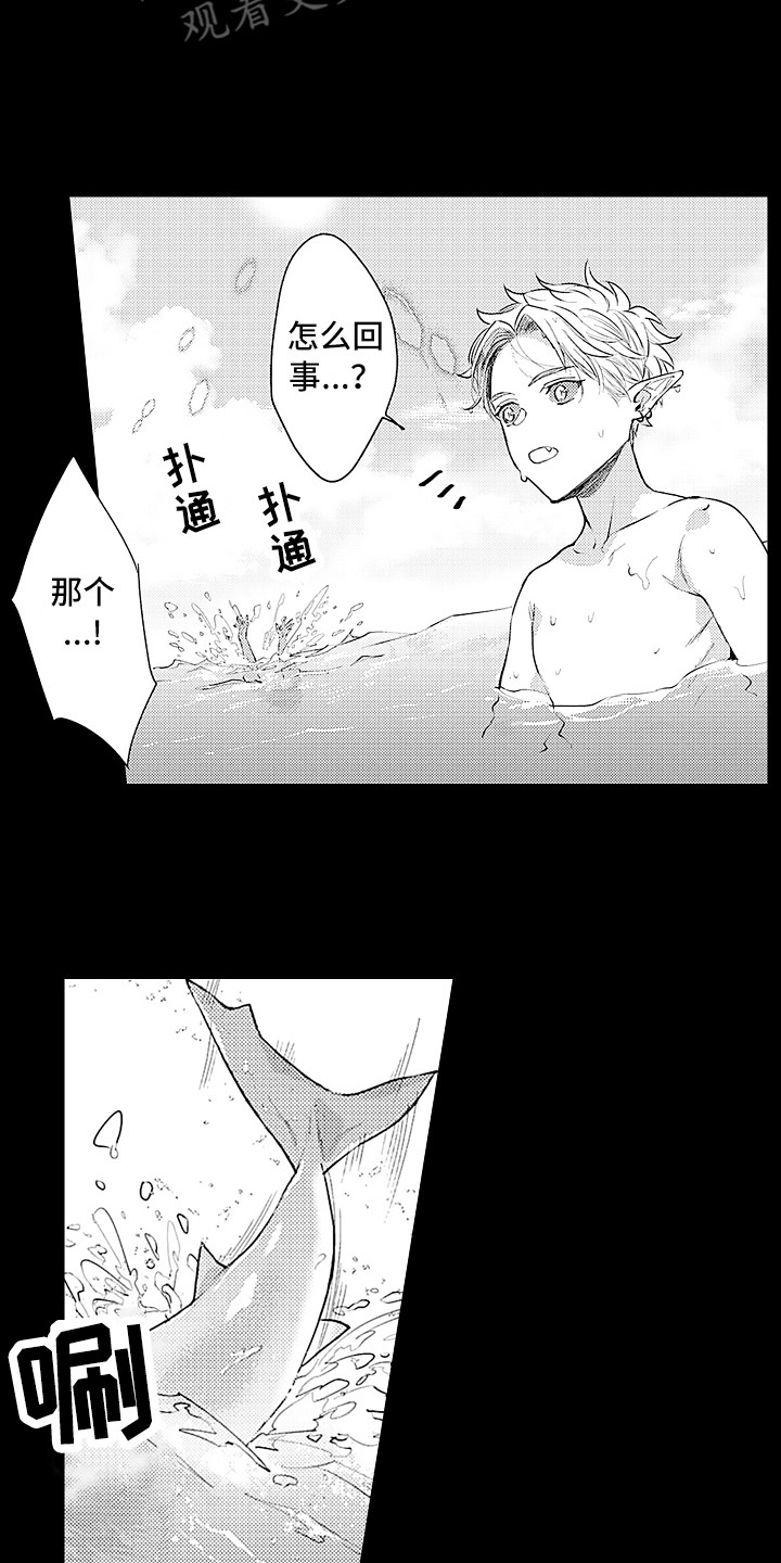 献给鲨鱼家族漫画,第24章：想起来了5图