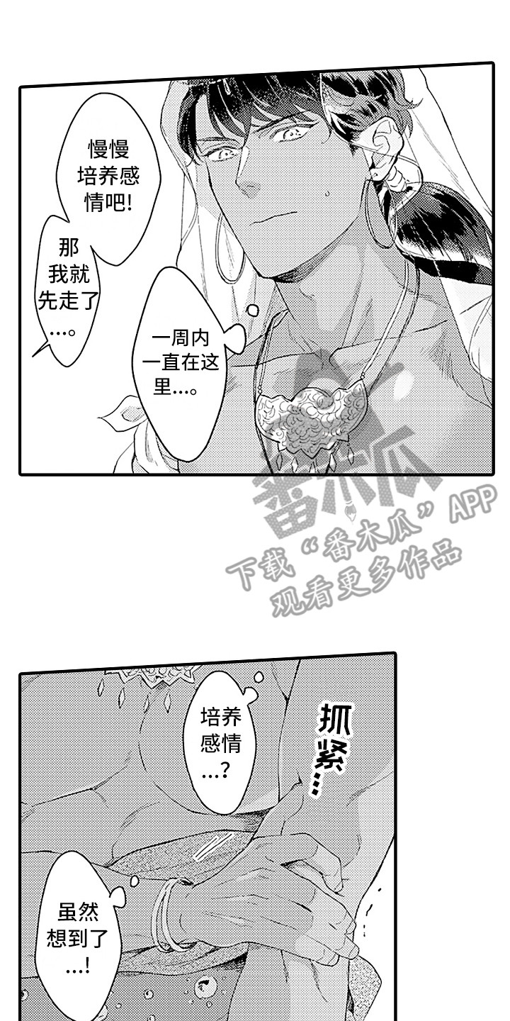 献给鲨鱼家族漫画,第8章：觉悟1图