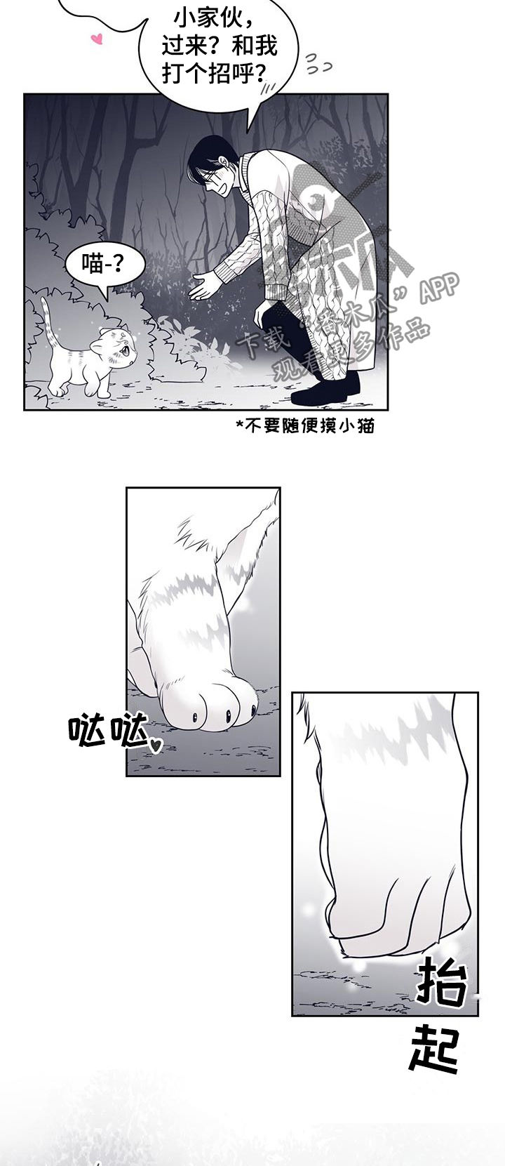 青年瑞恩漫画,第84章：怀孕？4图