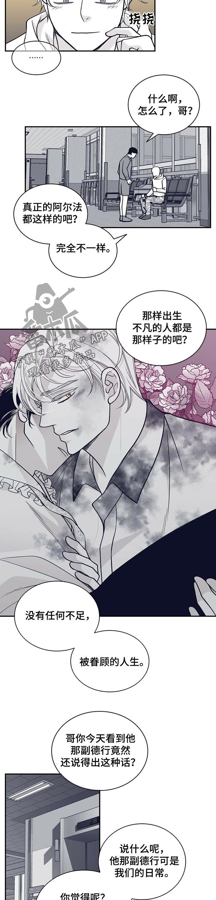 青年瑞恩漫画,第146章：共犯4图