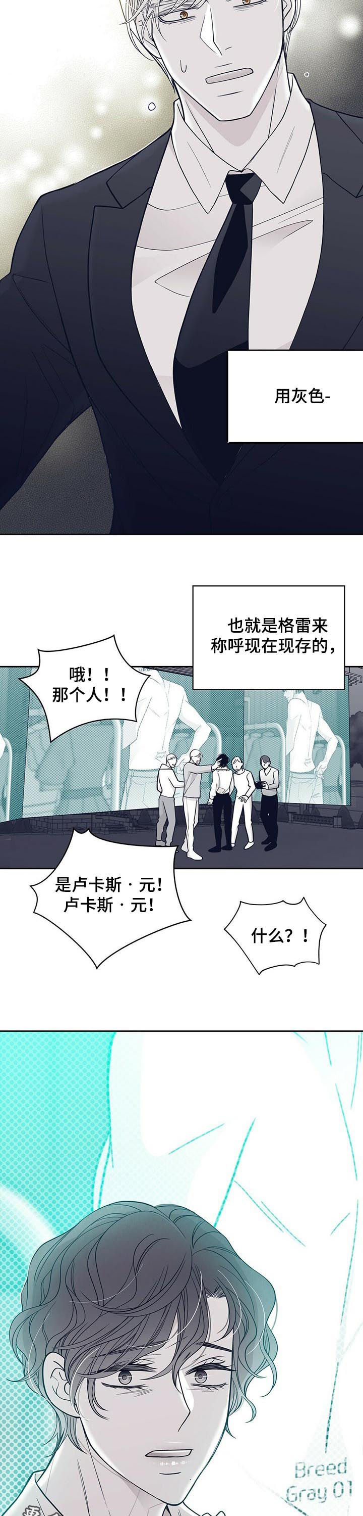 青年瑞恩漫画,第131章：硬闯5图