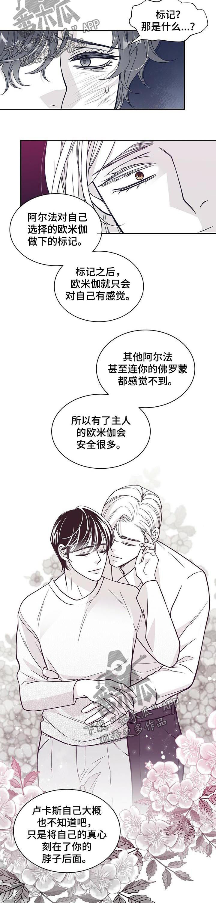 青年瑞恩漫画,第143章：标记4图