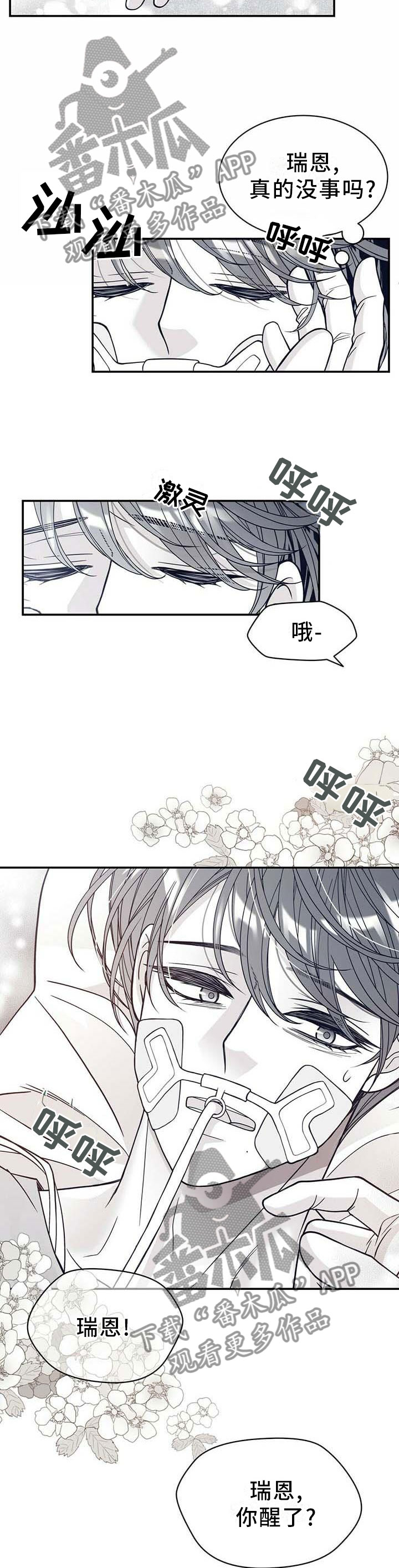 青年瑞恩漫画,第199章：【第二季】得救2图