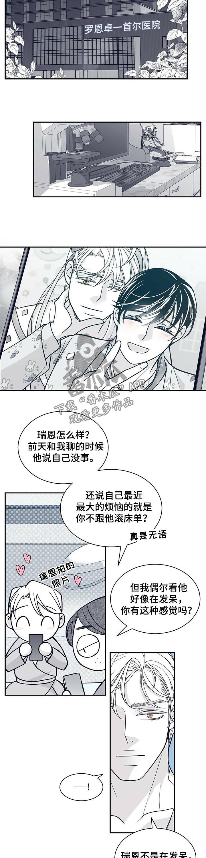 青年瑞恩漫画,第183章：【第二季】变成贝塔2图