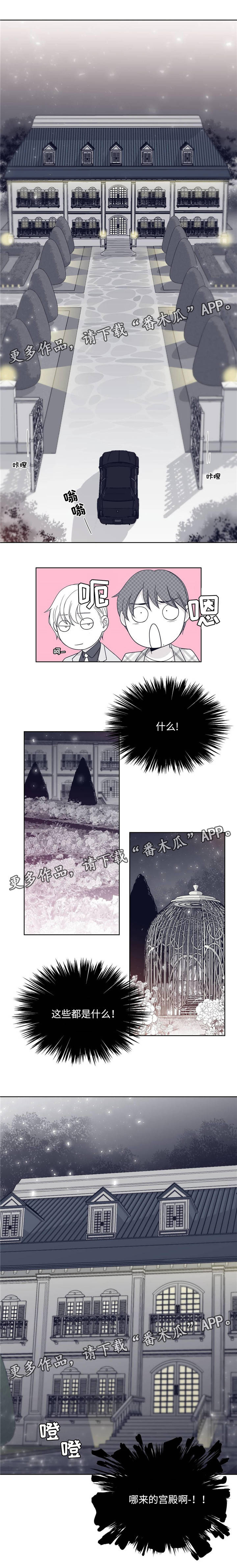 青年瑞恩漫画,第27章：豪华别墅3图