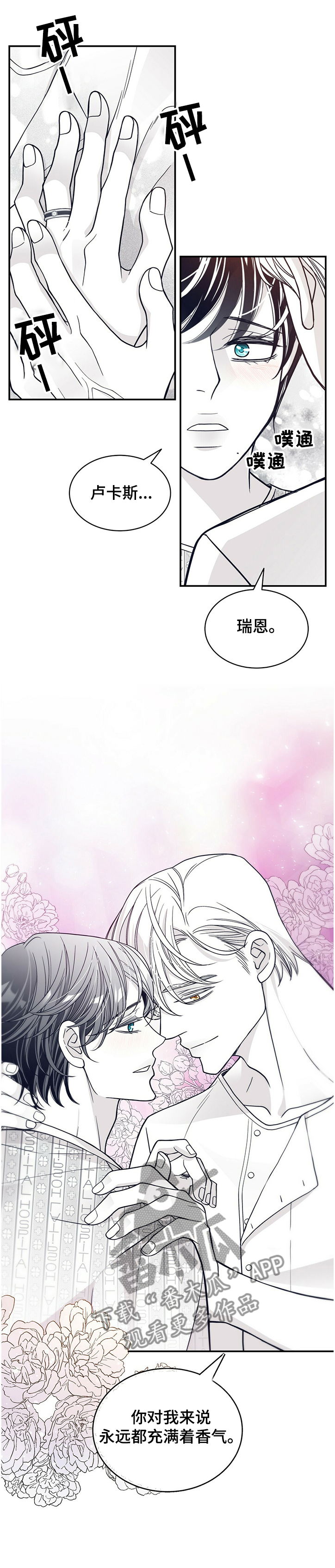 青年瑞恩漫画,第204章：【第二季】炎症1图