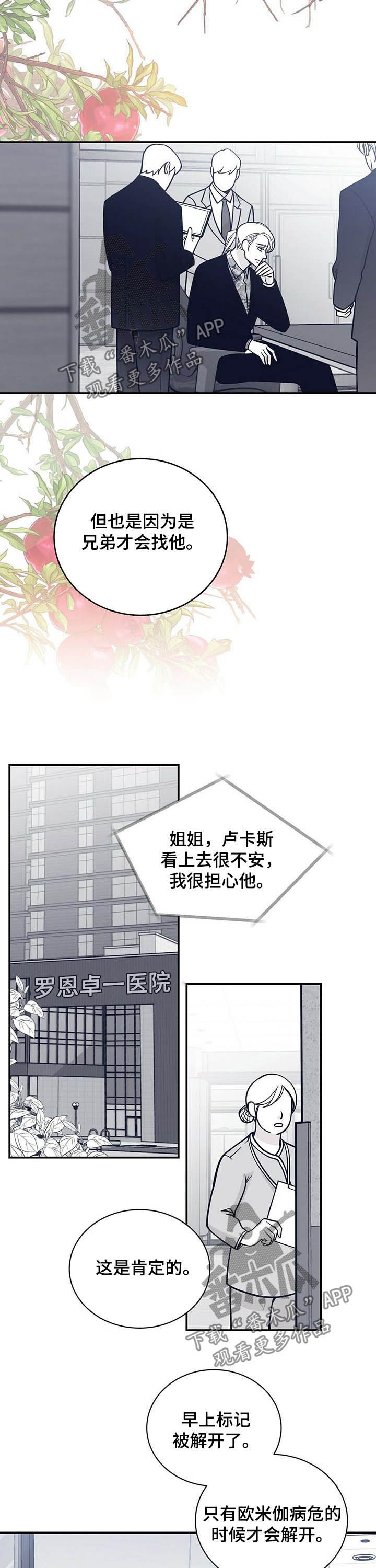 青年瑞恩漫画,第194章：【第二季】贵宾5图