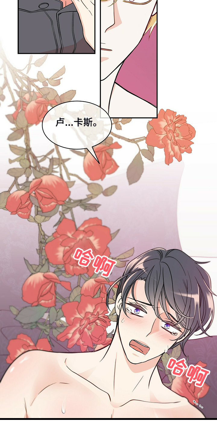 青年瑞恩漫画,第214章：【番外】繁殖期又来了2图
