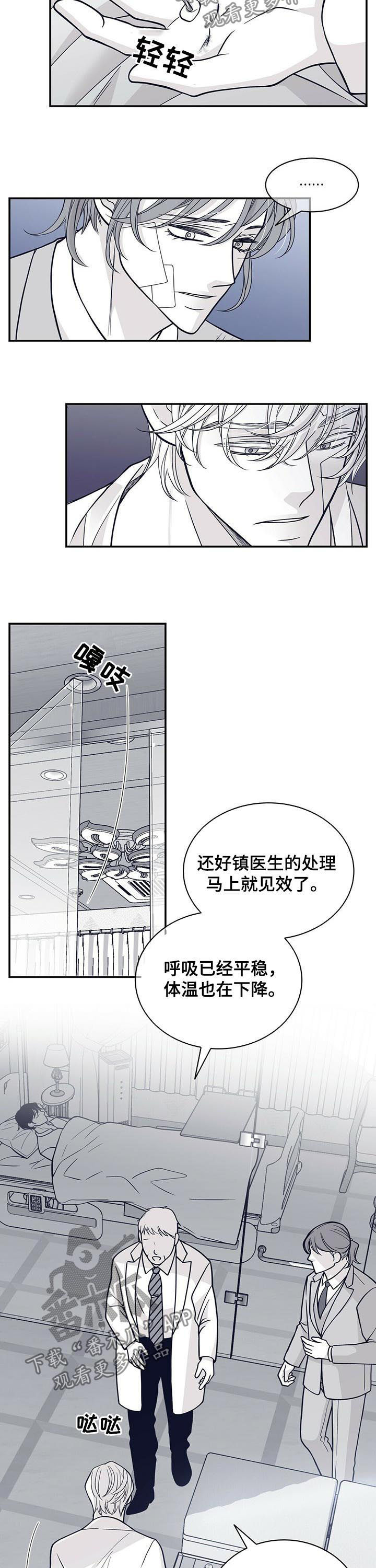 青年瑞恩漫画,第146章：共犯5图