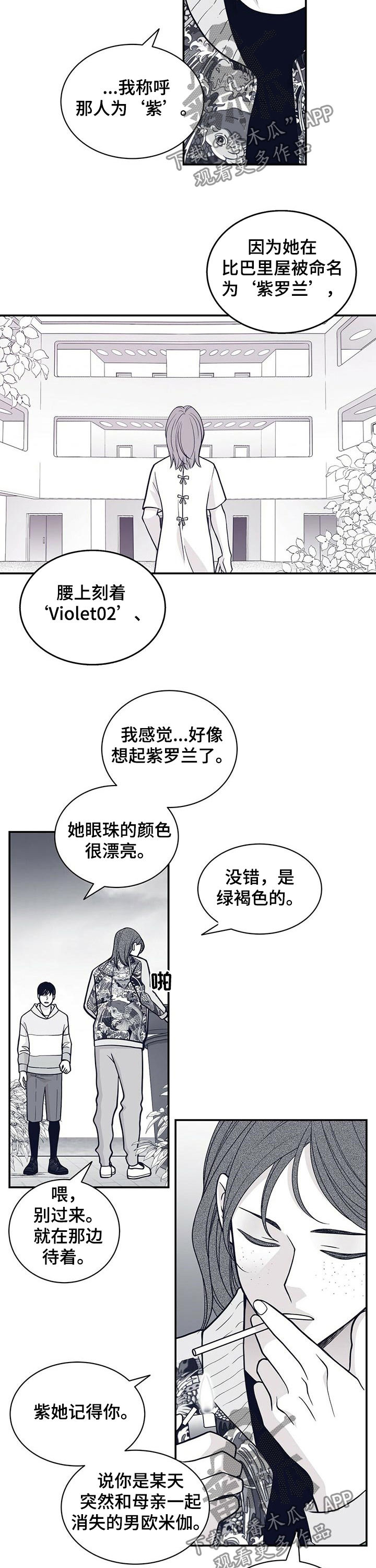 青年瑞恩漫画,第161章：紫4图