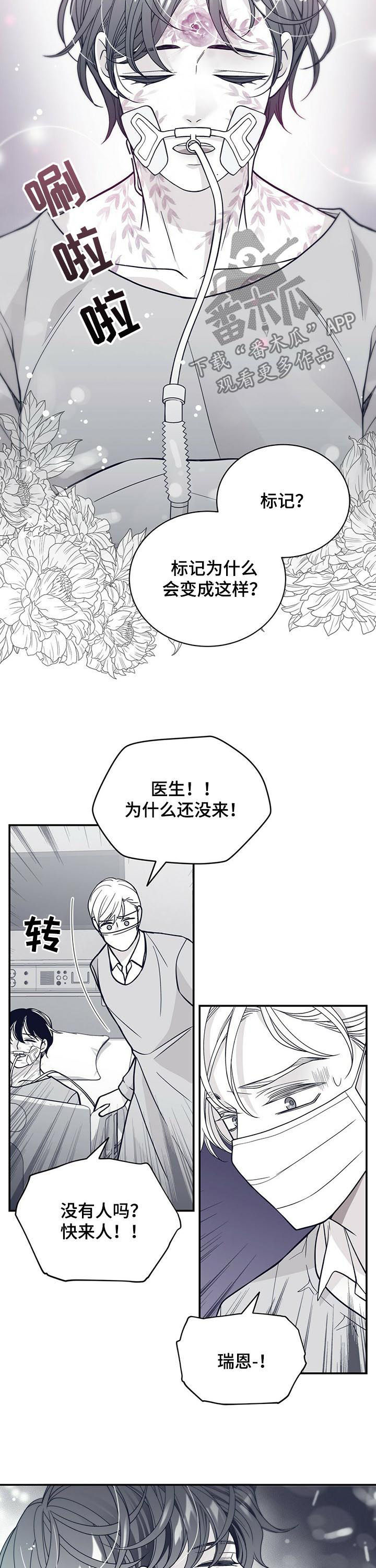 青年瑞恩漫画,第189章：【第二季】标记解除2图