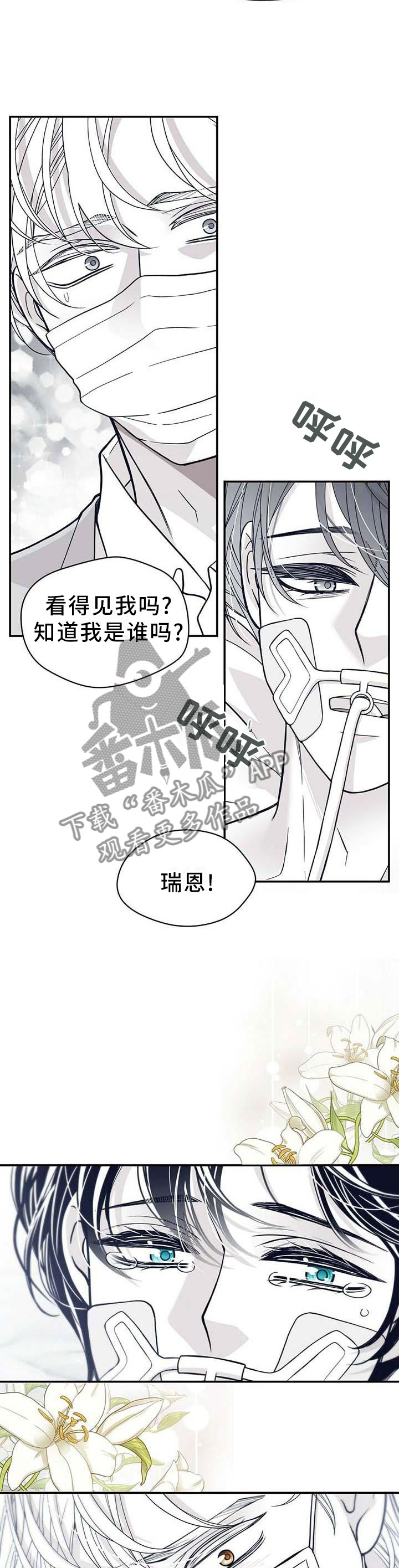 青年瑞恩漫画,第199章：【第二季】得救3图