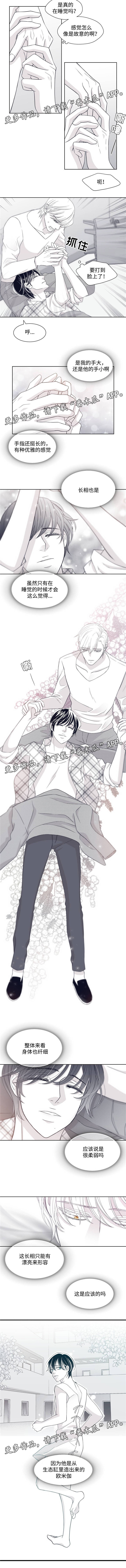 青年瑞恩漫画,第22章：生态缸的欧米伽5图