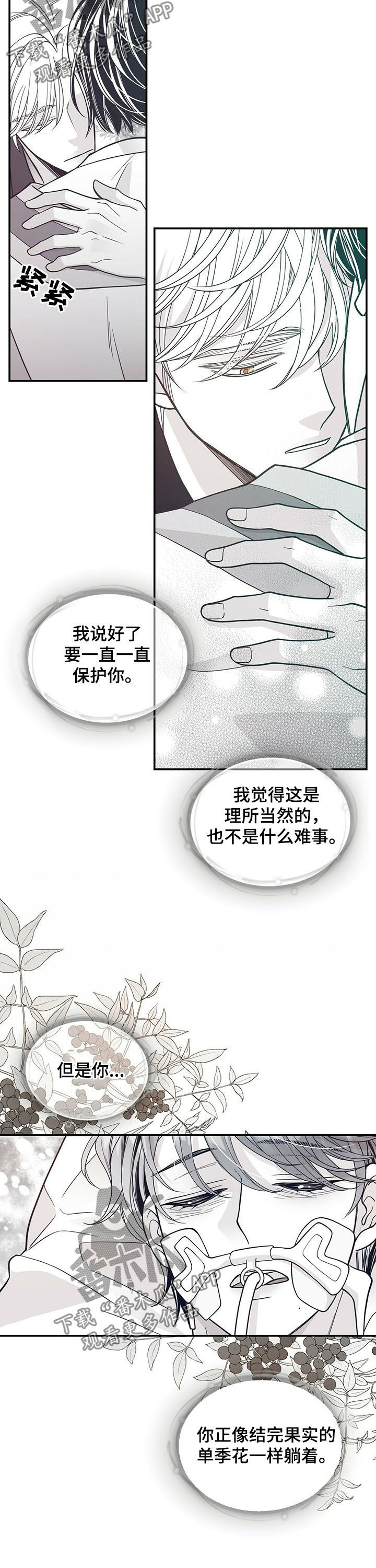 青年瑞恩漫画,第193章：【第二季】命运4图