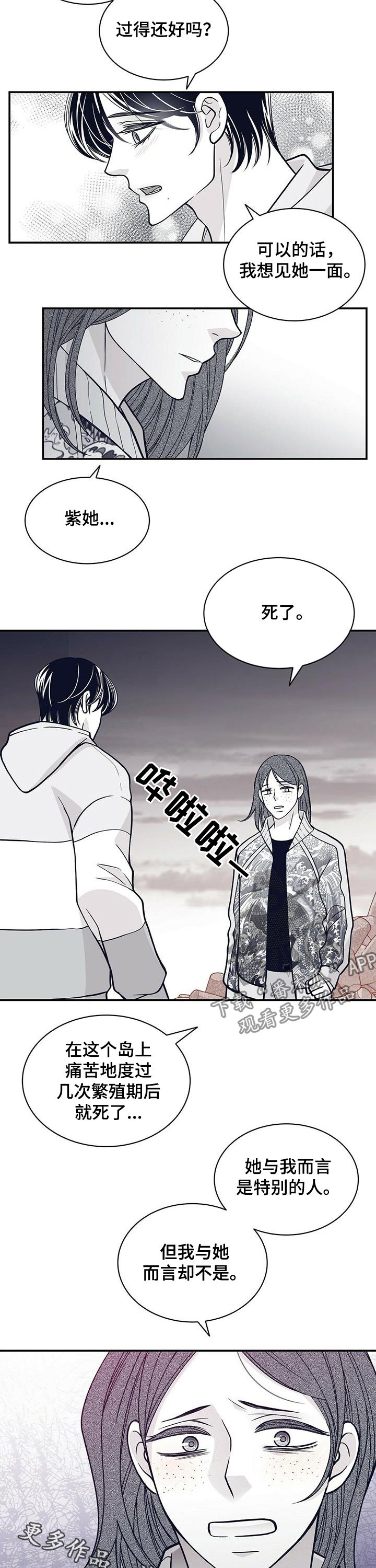 青年瑞恩漫画,第161章：紫5图