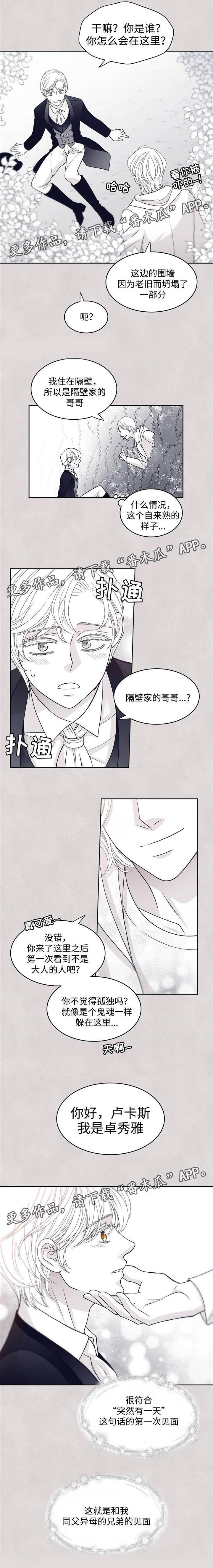 青年瑞恩漫画,第45章：卓秀雅4图