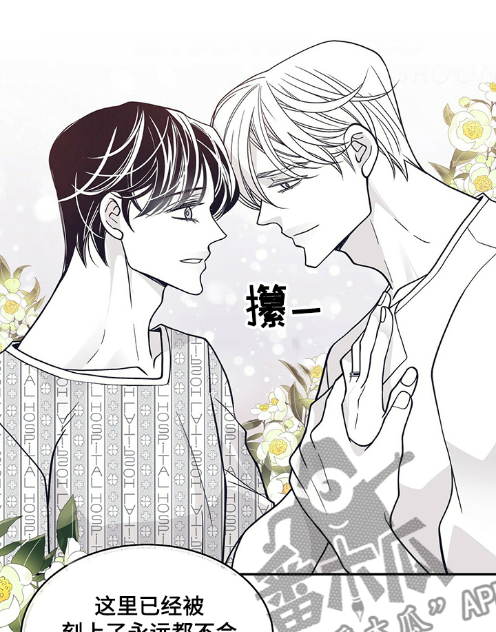 青年瑞恩漫画,第203章：【第二季】憧憬未来4图