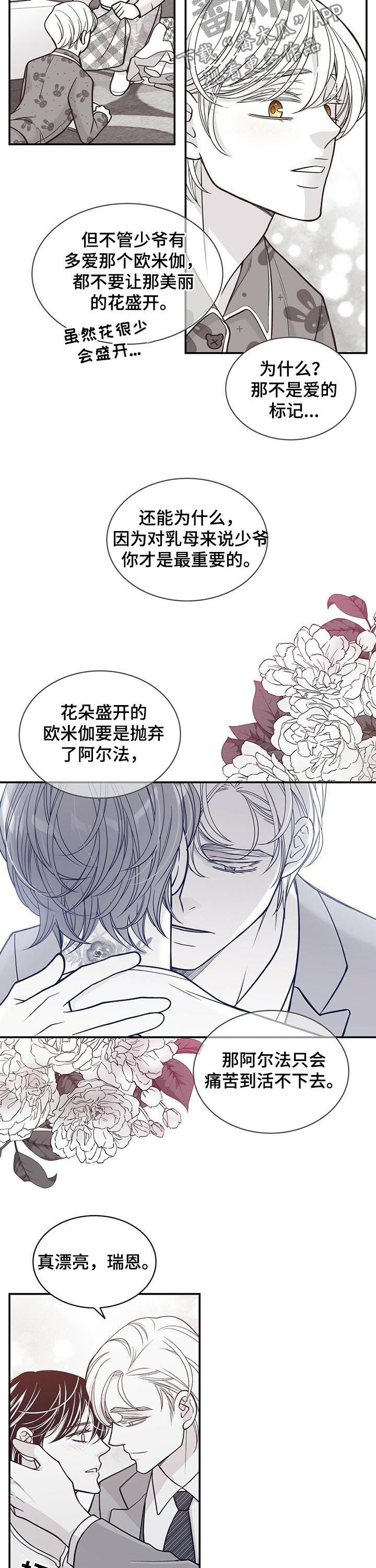 青年瑞恩漫画,第151章：花朵盛开3图