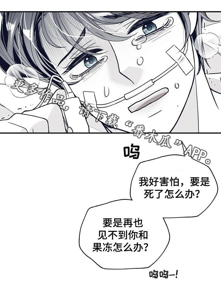 青年瑞恩漫画,第186章：【第二季】早产2图