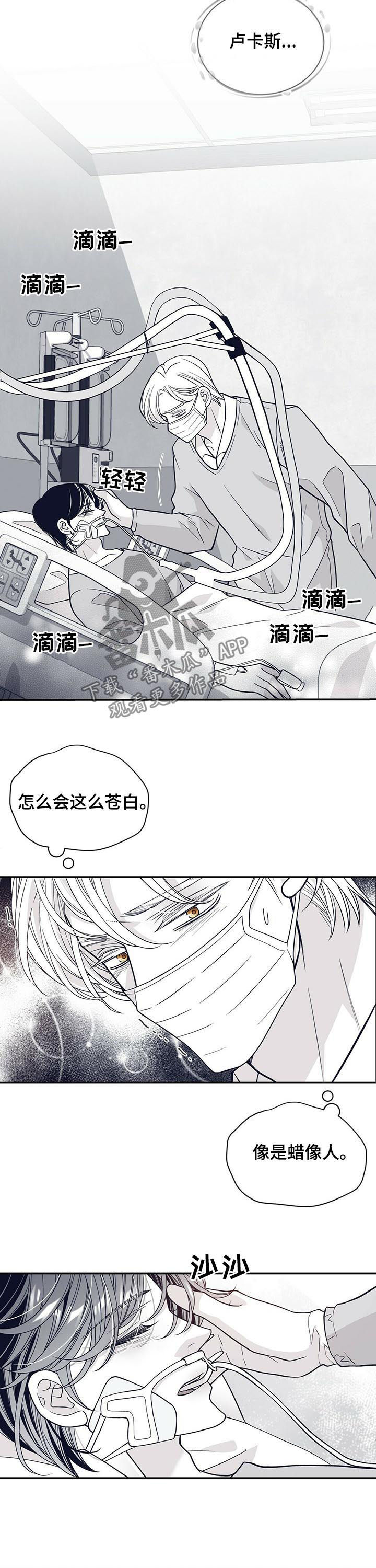 青年瑞恩漫画,第188章：【第二季】时日无多4图