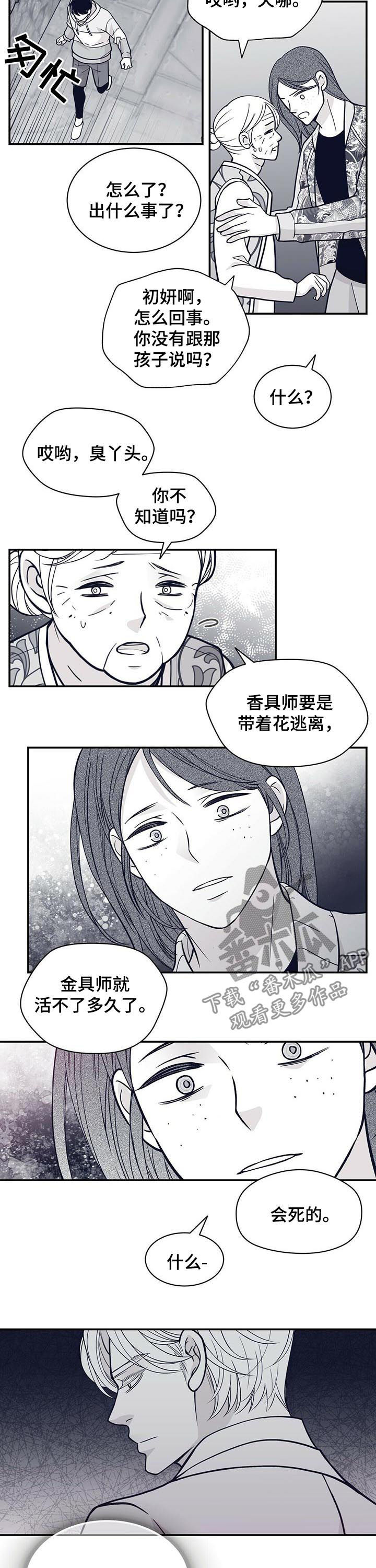青年瑞恩漫画,第164章：他会死3图