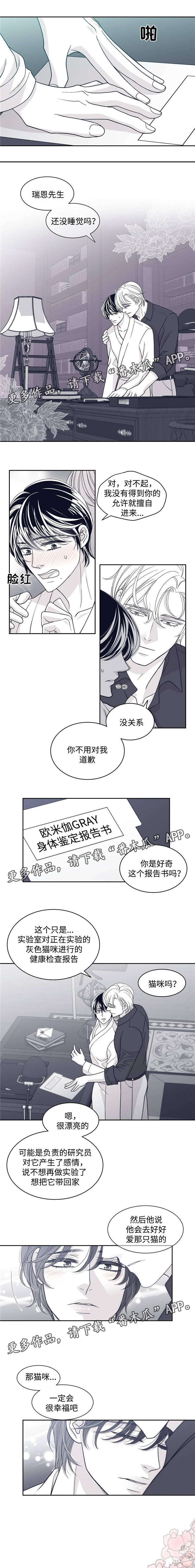 青年瑞恩漫画,第56章：触手可及的秘密3图
