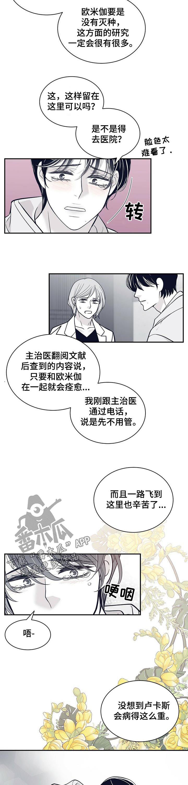 青年瑞恩漫画,第166章：没有勇气4图