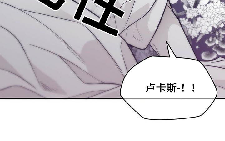 青年瑞恩漫画,第147章：灭绝是有理由的2图