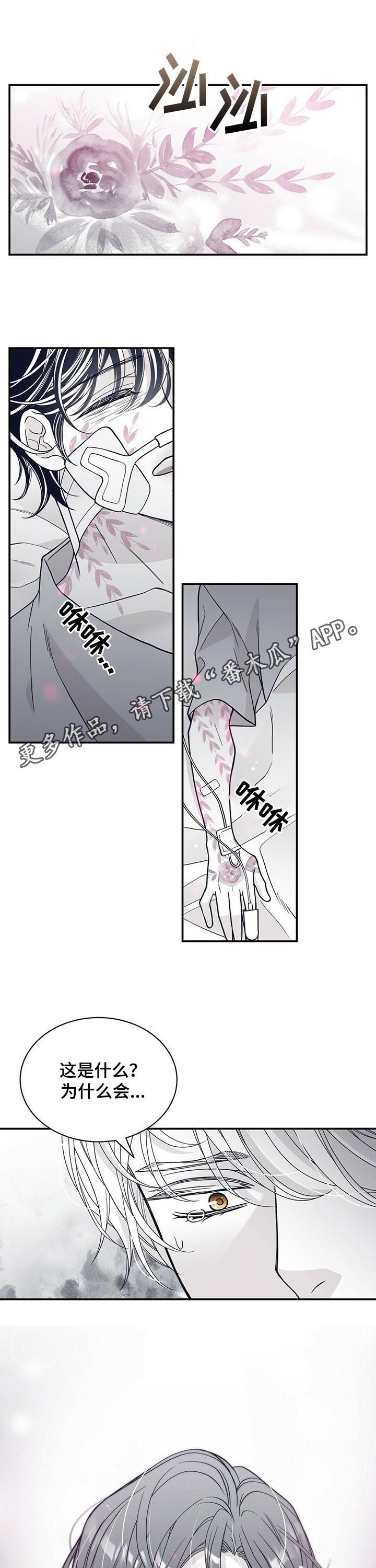 青年瑞恩漫画,第189章：【第二季】标记解除1图