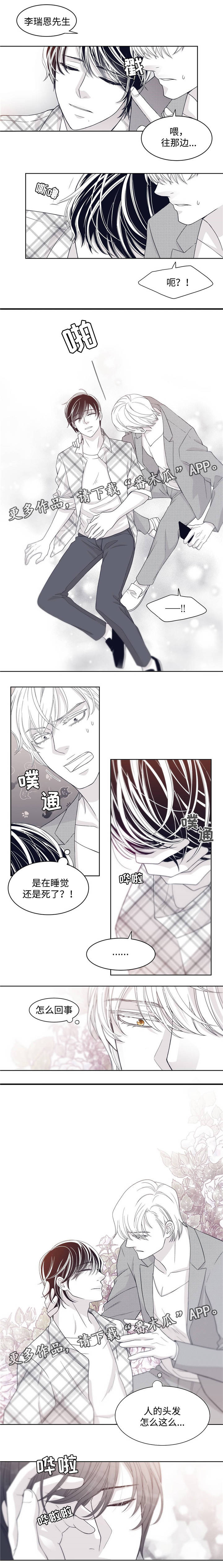 青年瑞恩漫画,第22章：生态缸的欧米伽2图