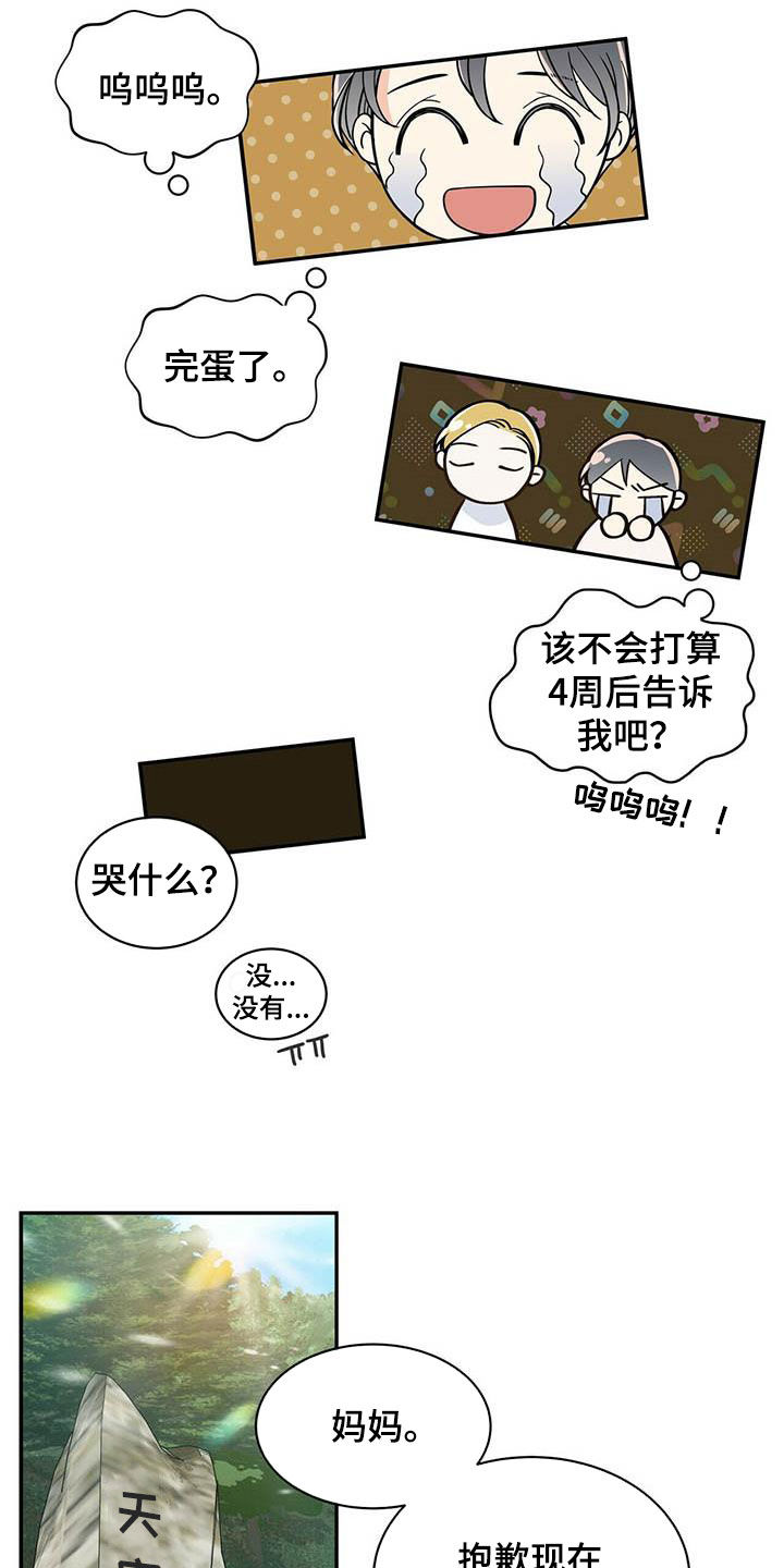 青年瑞恩漫画,第234章：【番外】祝你幸福2图