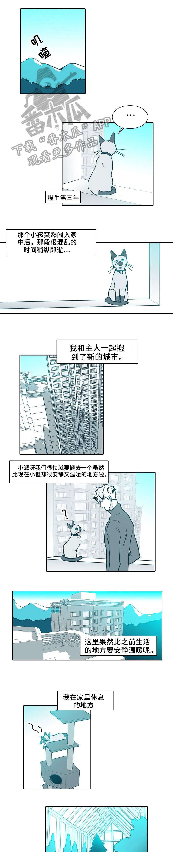 期限三十天漫画,第63章：做饭3图