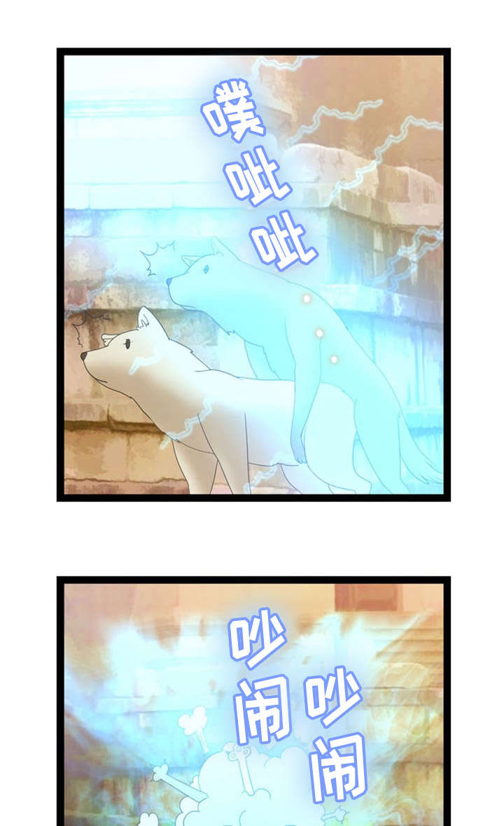 异世界神力修炼漫画,第14章：窃贼2图