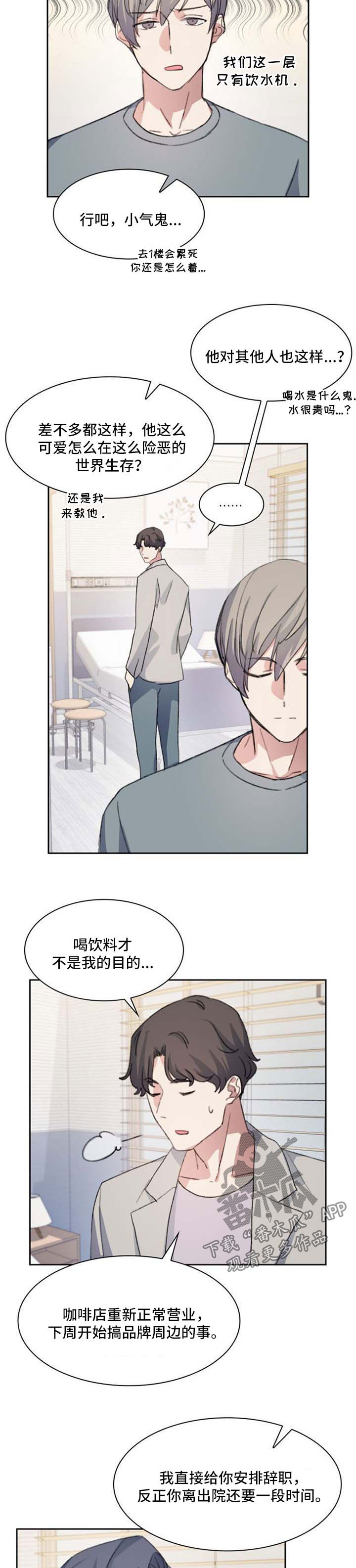 彩虹咖啡屋漫画,第61章：想向你求婚3图