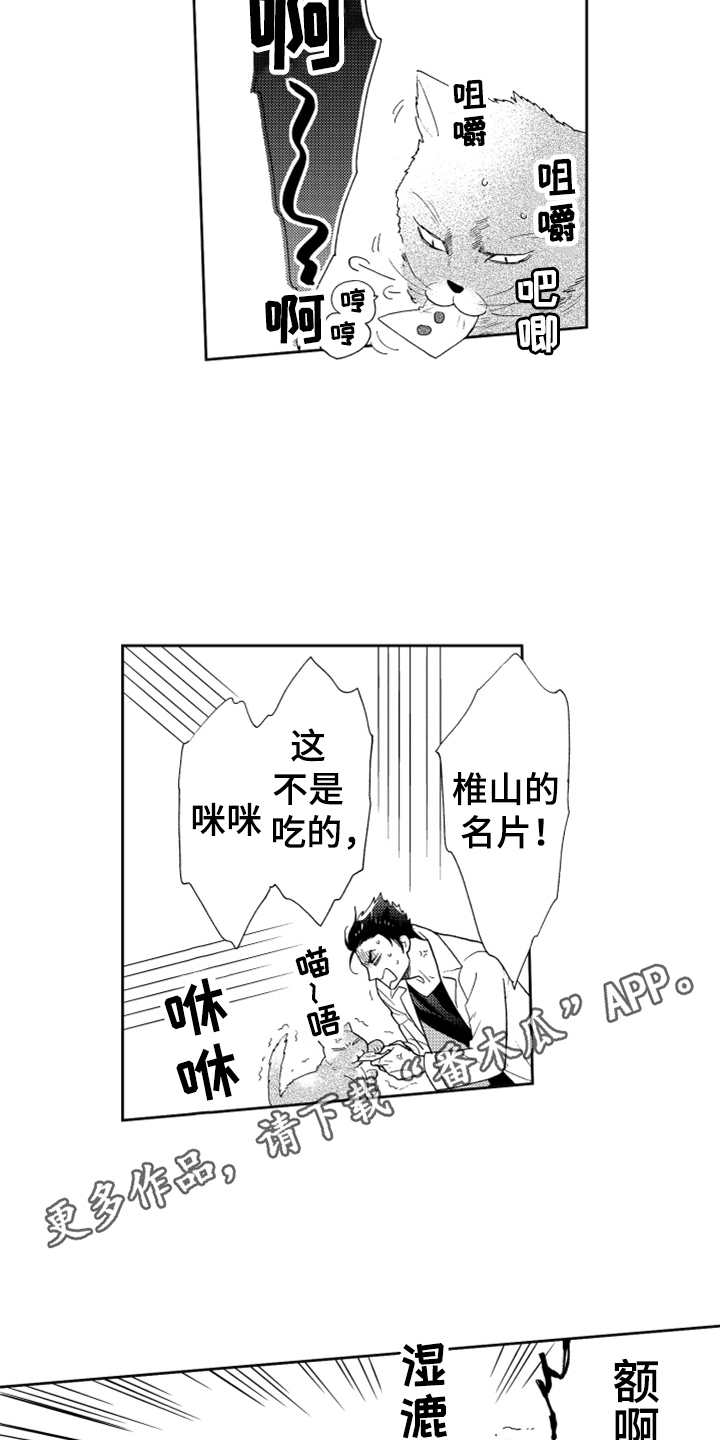宝贝不要淘气漫画,第6章：名片没了2图