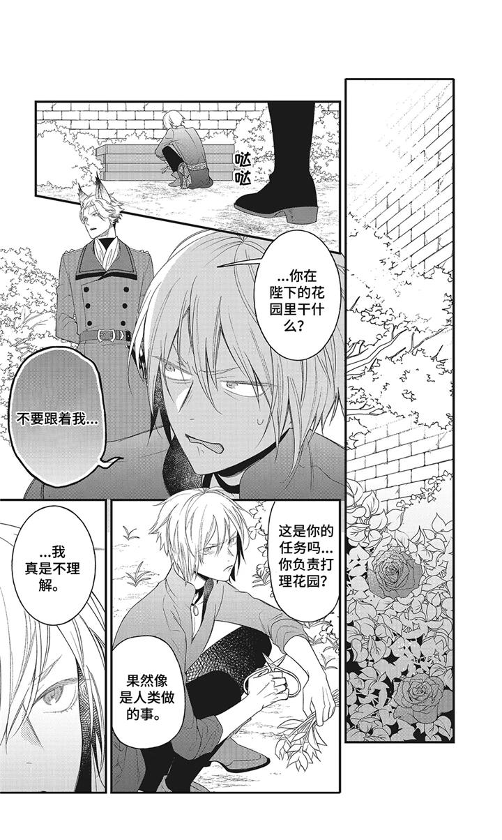 魔王诺亚漫画,第5章：远征5图