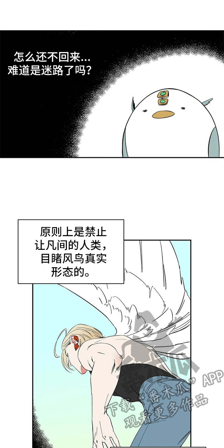 天神的追随漫画,第16章：自由翱翔2图