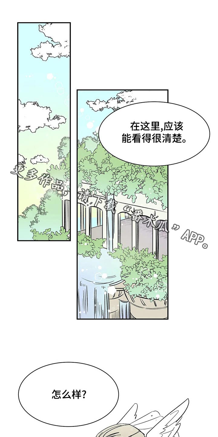天神的追随漫画,第56章：【第二季】担心什么1图