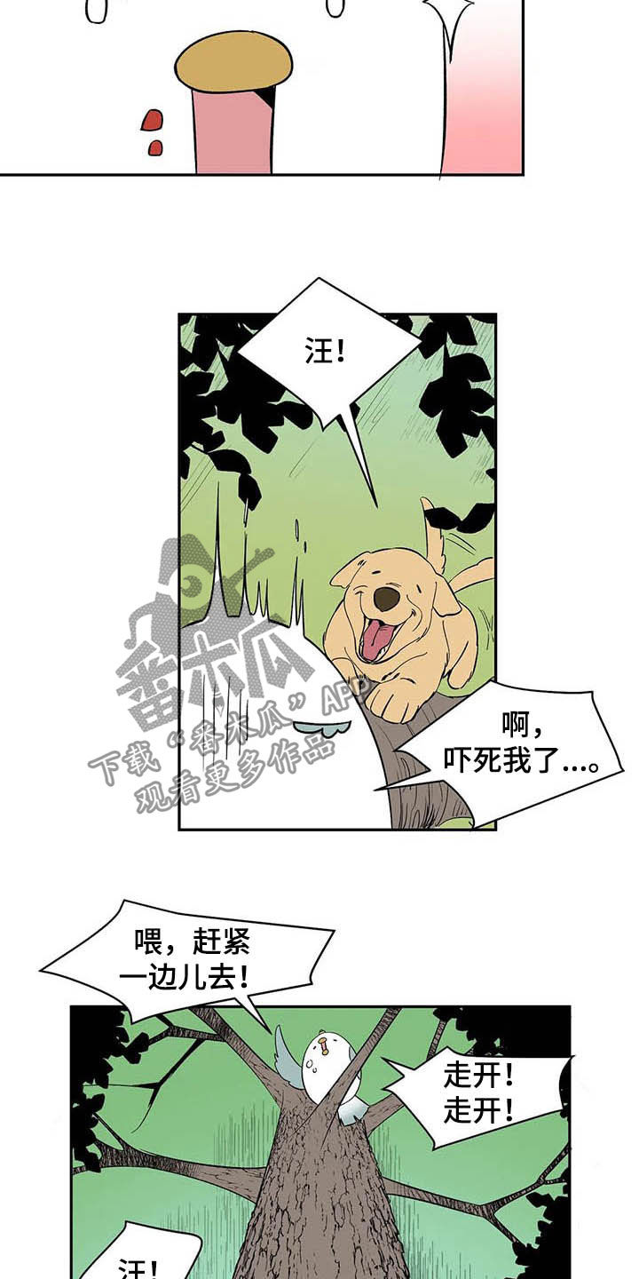 天神的追随漫画,第20章：不许看！5图
