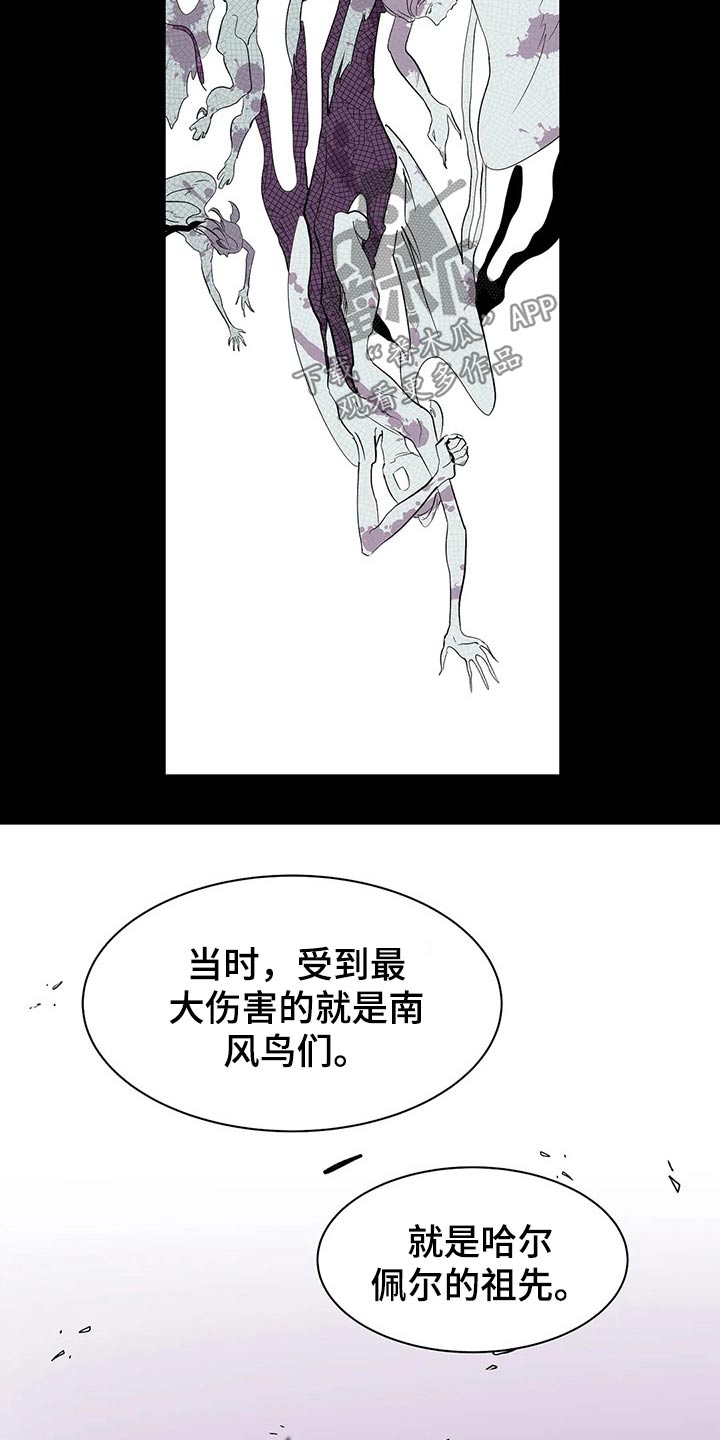 天神的追随漫画,第51章：打算1图