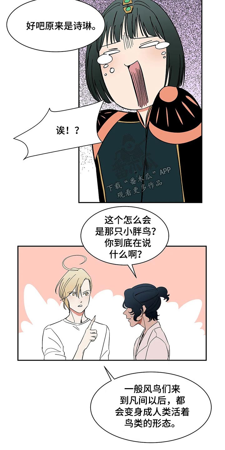 天神的追随漫画,第36章：奶奶来信3图