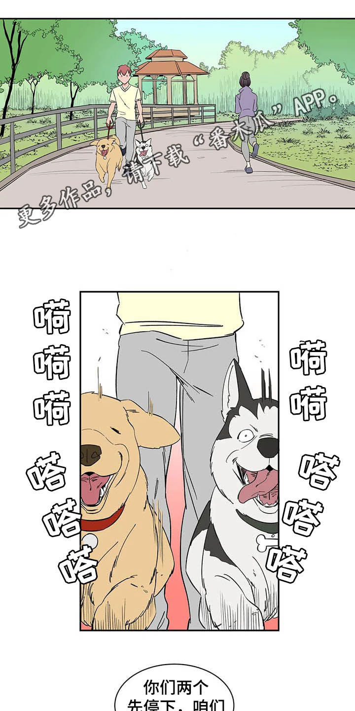天神的追随漫画,第20章：不许看！1图