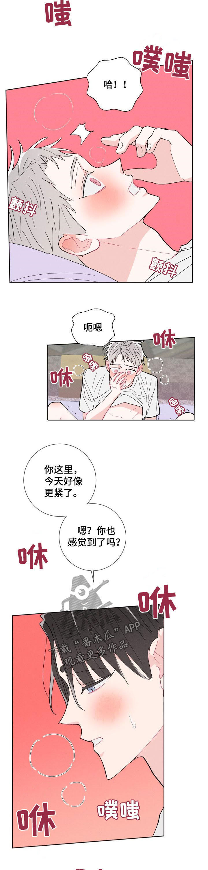 命运九重奏动漫全集在线观看漫画,第87章：【番外】让人疯狂4图