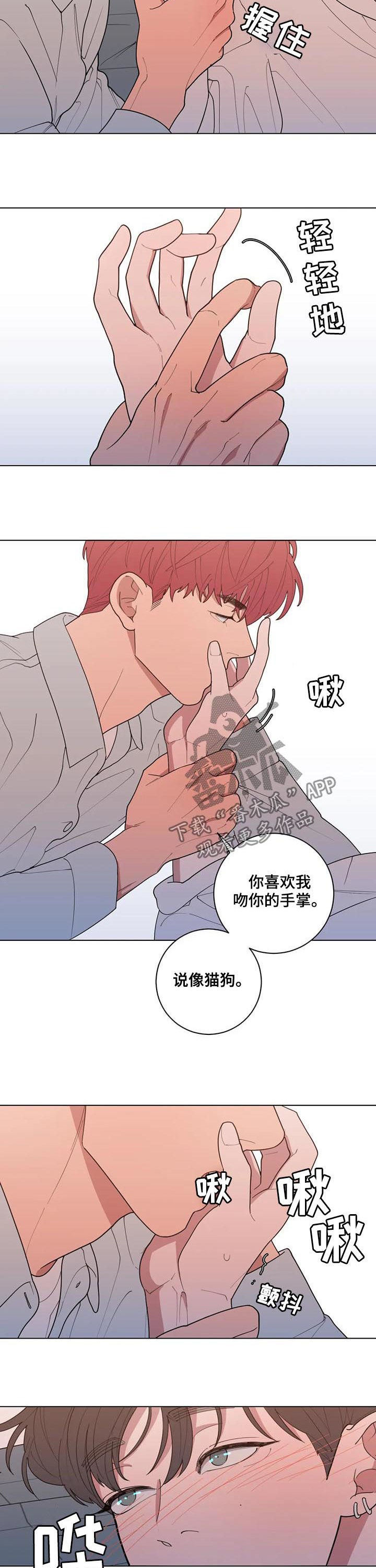 观后感的写作方法和技巧漫画,第195章：喜好5图