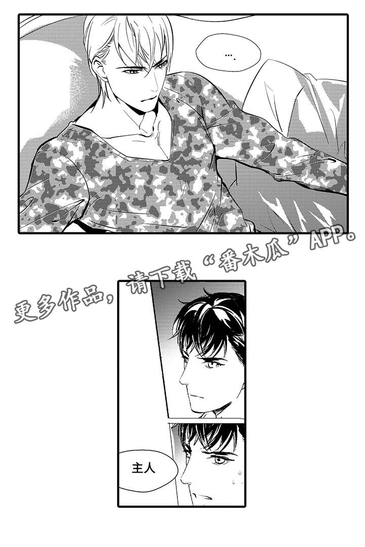 固执探寻漫画,第8章：宠物5图