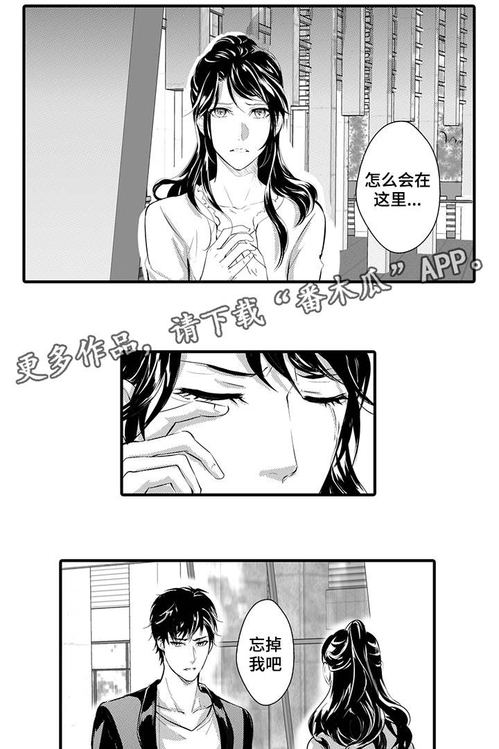 固执探寻漫画,第10章：丹雅1图