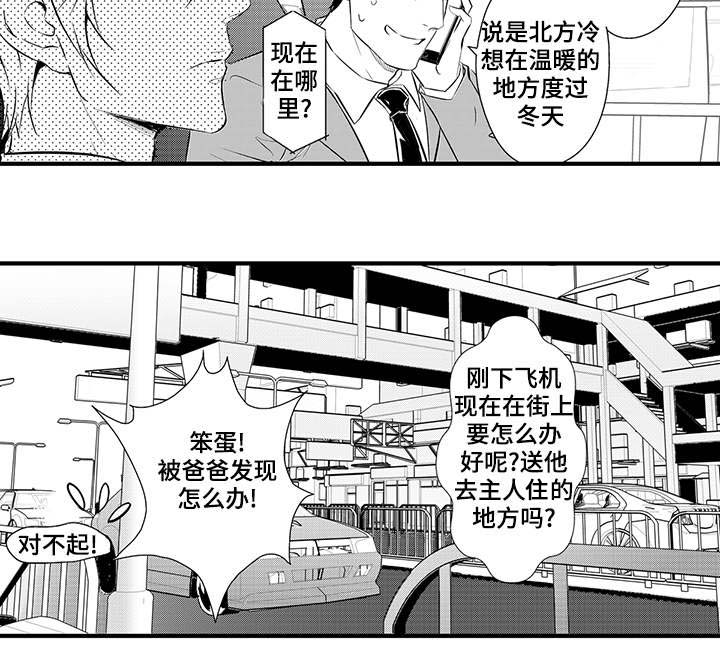 固执探寻漫画,第13章：小妈4图