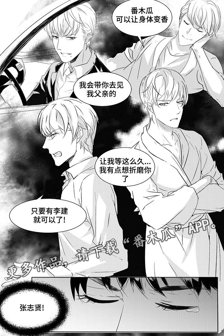 固执探寻漫画,第40章：开始行动3图