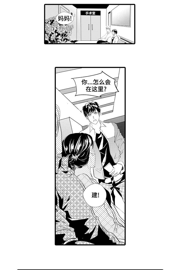 固执探寻漫画,第7章：妥协3图