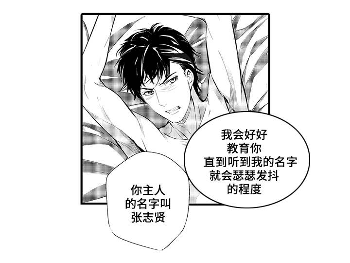 固执探寻漫画,第8章：宠物1图